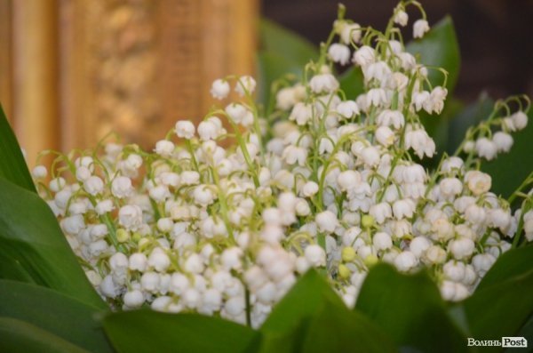 У Луцьку продавали ікони на потреби вояків АТО. ФОТО