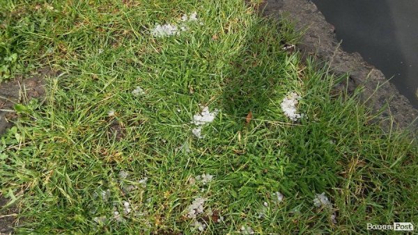 Наслідки шквальної зливи у Луцьку. ФОТО. ВІДЕО