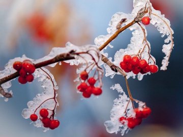 Синоптик розповіла, коли Україну накриють перші морози