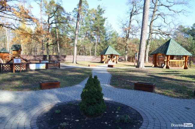 Савченко розповів, чому захищає лісників