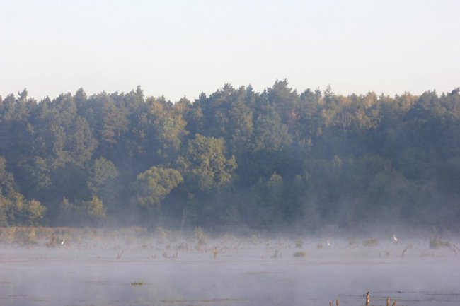 Показали світлини сходу сонця у волинському заказнику. ФОТО