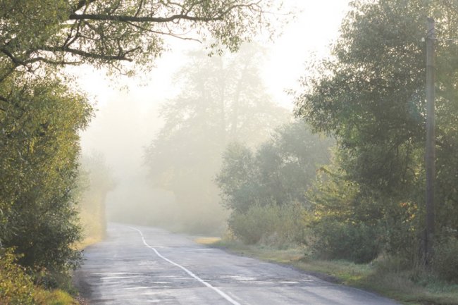 Показали світлини сходу сонця у волинському заказнику. ФОТО