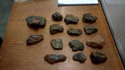 На «Ягодині» упіймали ковельчанку з бурштином. ФОТО