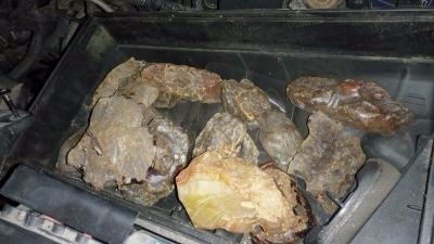 На «Ягодині» упіймали ковельчанку з бурштином. ФОТО