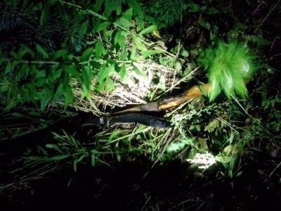 Прикордонники Луцького загону затримали браконьєрів. ФОТО