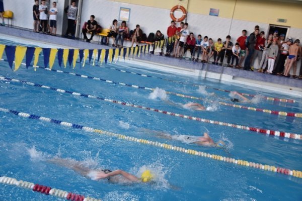 У Луцькому басейні відбулись змагання з плавання