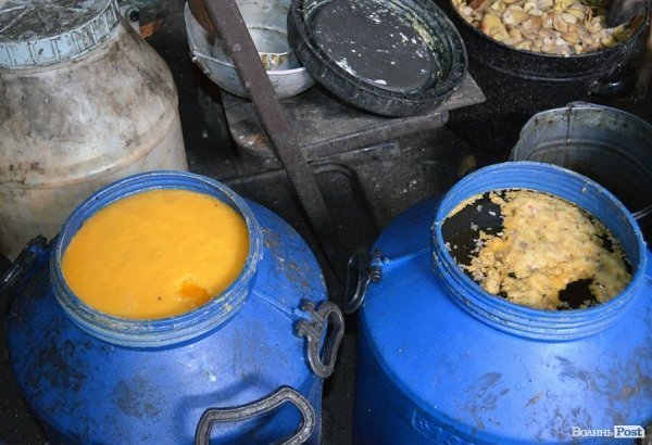 Собачий притулок у Луцьку пережив важку зиму. ФОТО