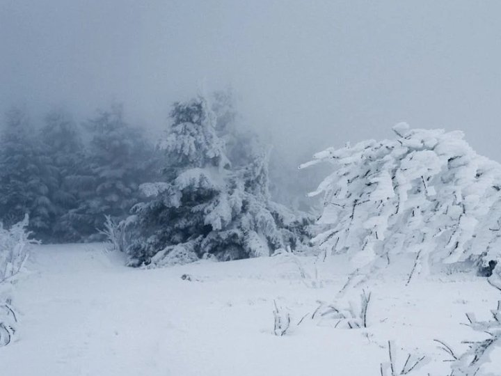 Морози повертаються: якою буде погода на Волині на вихідні