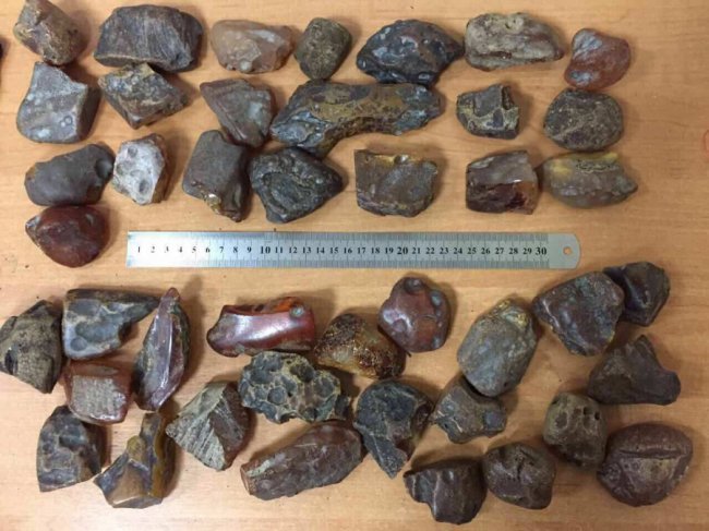 На Волині затримали контрабандиста з бурштином у шкарпетках