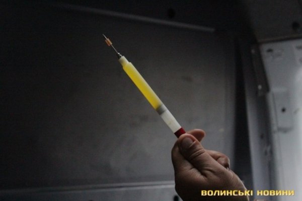 Відлов собак у Луцьку: рушниці, чіпи та гроші. ФОТО