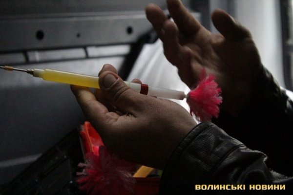 Відлов собак у Луцьку: рушниці, чіпи та гроші. ФОТО