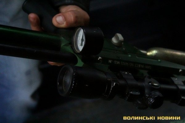 Відлов собак у Луцьку: рушниці, чіпи та гроші. ФОТО