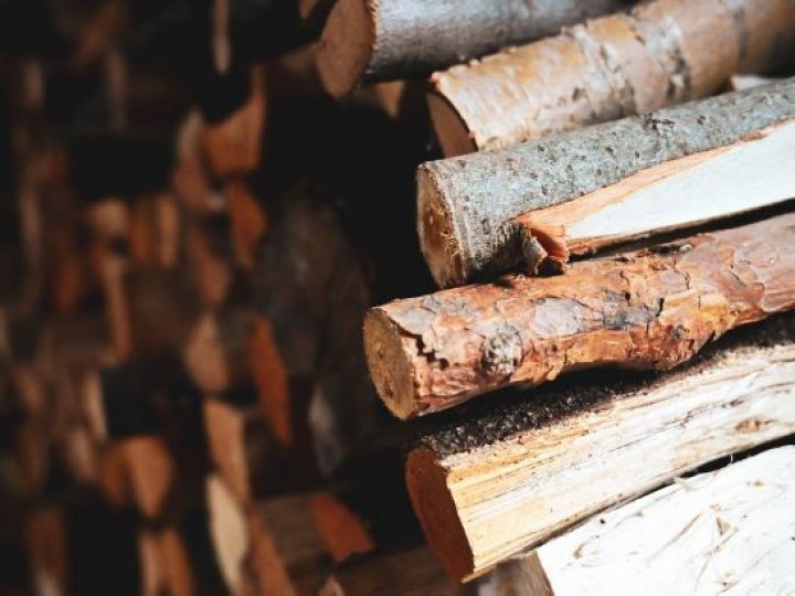 Ціни на дрова в січні 2026 року: скільки коштує куб і де брати волинянам офіційно