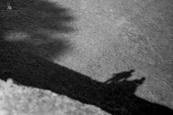 Фотовиставка: Анастасія Хмарук