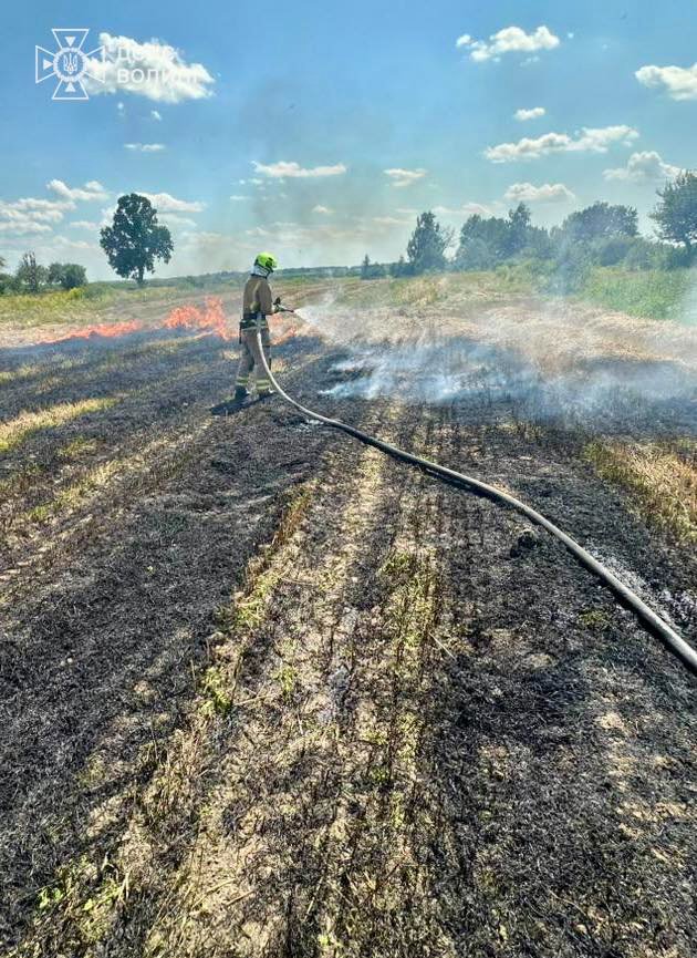 Ледь не згоріло зернове поле: за спалювання стерні оштрафували волинянина