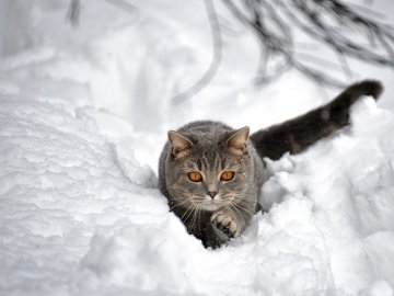 Погода в Луцьку та Волинській області на завтра, 4 грудня