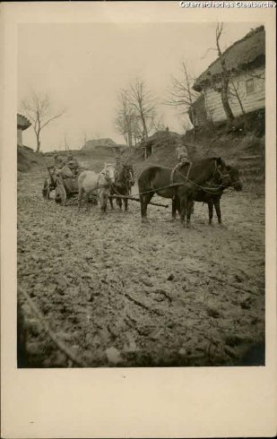 Село Малин та його околиці 100 років тому. РЕТРОФОТО