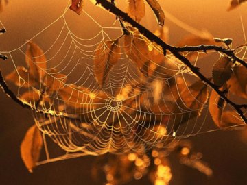 Повідомили, коли буде бабине літо