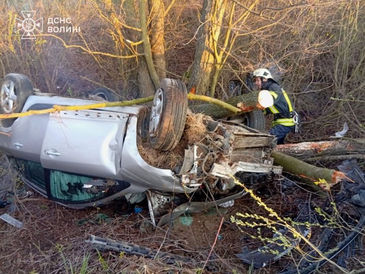 На Волині авто зіткнулося з деревом: водій загинув