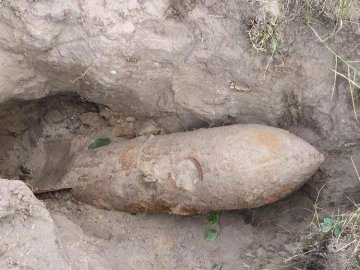 У лісі під Луцьком під час збирання ягід  жінка виявила небезпечний предмет