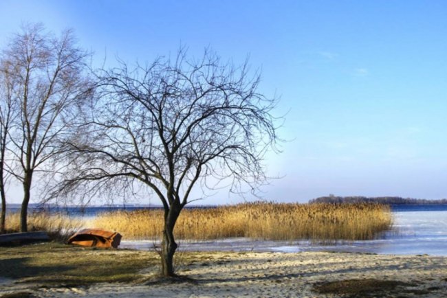 Опублікували зимові світлини мальовничого Світязю. ФОТО