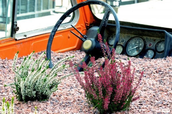 Фотопогляд: вулиця Лесі Українки