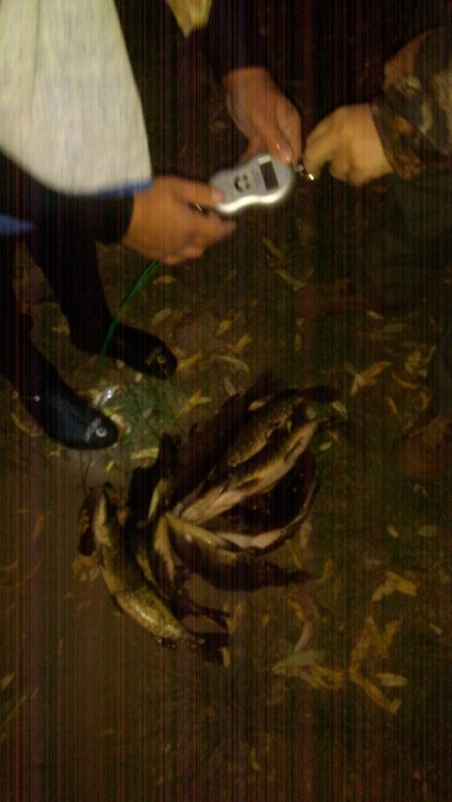 Спіймали двох волинян, які ловили рибу в заказнику