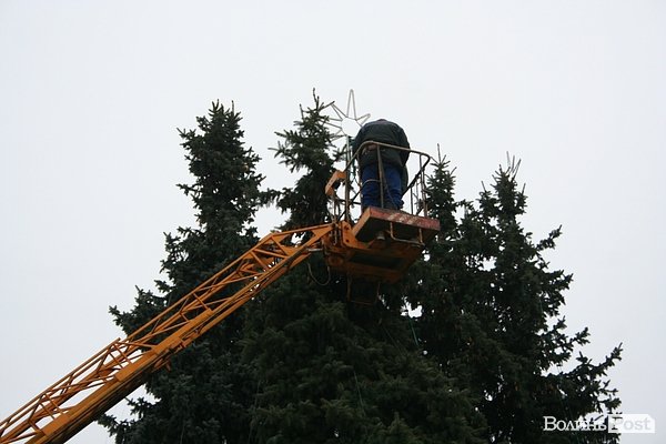 Головні ялинки Луцька почали прикрашати. ФОТО