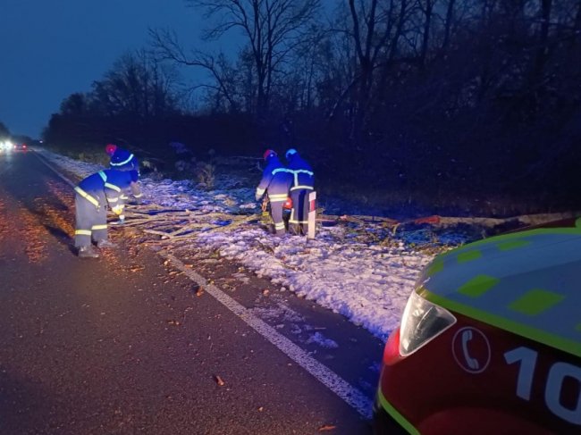 На Волині сильний вітер повалив на дорогу дерева. ФОТО