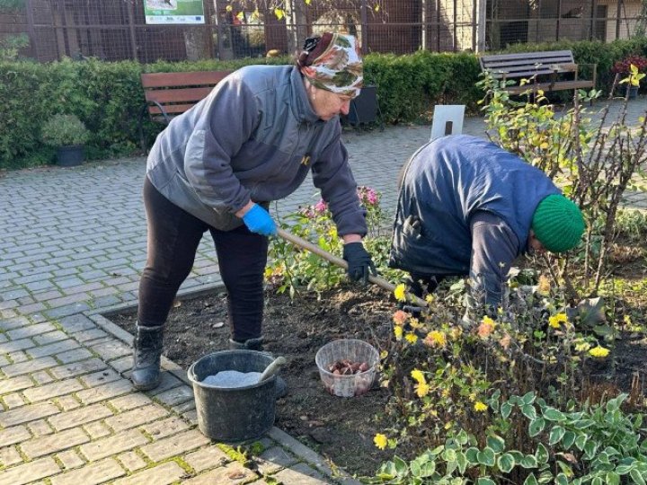 У луцькому зоопарку висадять понад 2 тисячі тюльпанів