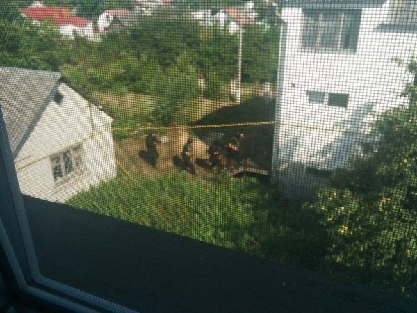 Володимир-волинська міліція затримала стрільця