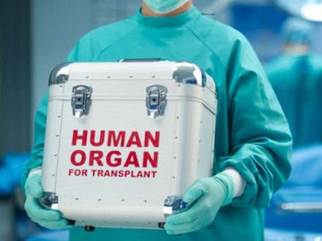Скандал із «чорними трансплантологами»: українці продавали нирки іноземцям