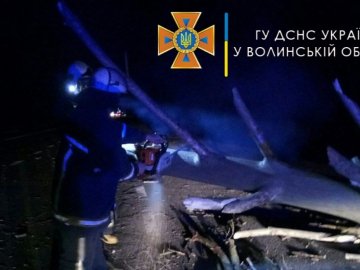 На Волині рятувальники розчищали дорогу від повалених дерев: наслідки негоди