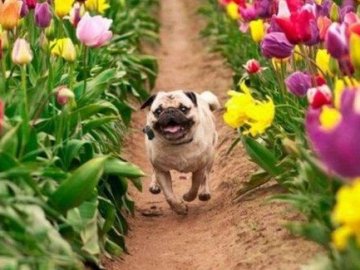 Синоптики розповіли, коли в Україну повернеться весна