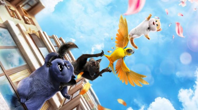 Куди піти на вихідні у Луцьку: 5-7 жовтня