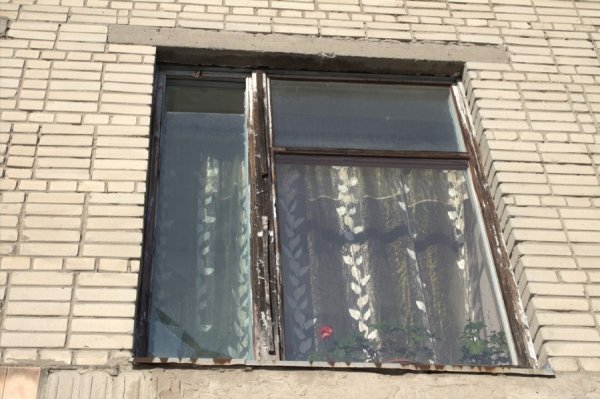 Нововолинськ: учнів училища тероризує «бригада»