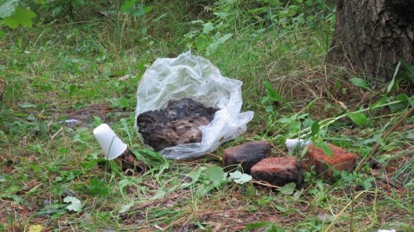 Луцький парк завалили сміттям. ФОТО