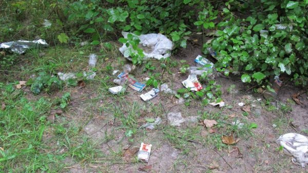 Луцький парк завалили сміттям. ФОТО