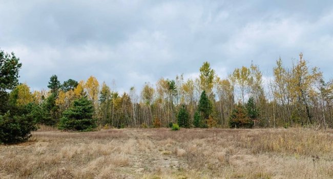 «Серце Волині»: де розташоване загадкове озеро, якого нема на карті