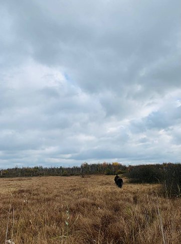«Серце Волині»: де розташоване загадкове озеро, якого нема на карті