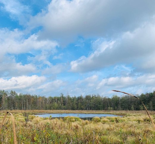 «Серце Волині»: де розташоване загадкове озеро, якого нема на карті