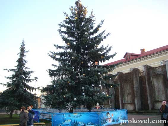 Варварство нечуване: у Ковелі з головної ялинки викрали ілюмінацію