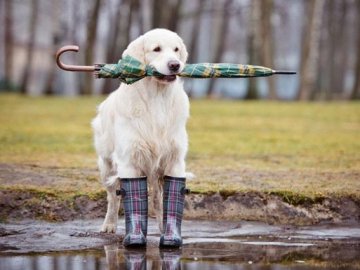 Погода у Луцьку на завтра, 5 квітня