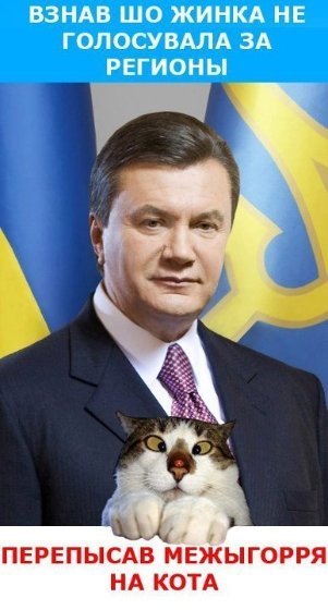 Бабуся, яка переписала хату на кота: інтернет жартує. ФОТО