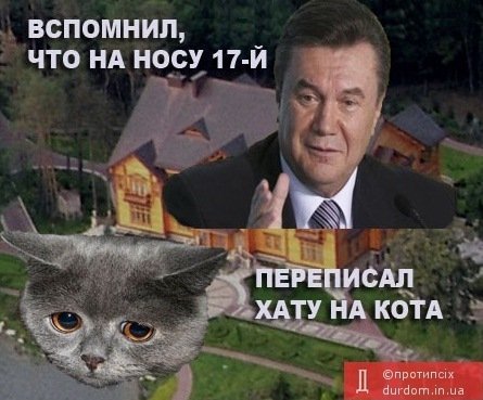 Бабуся, яка переписала хату на кота: інтернет жартує. ФОТО