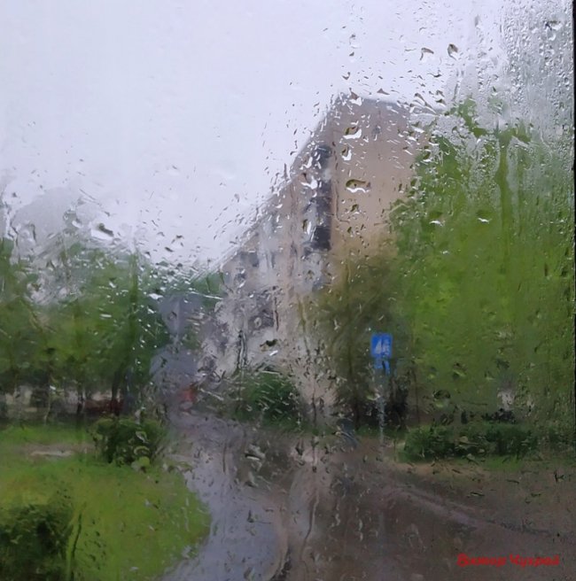 Луцький фотограф поділився «дощовими» світлинами