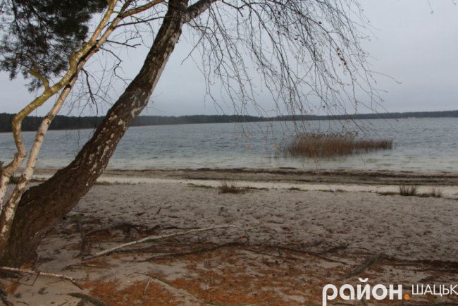 Звідки на волинському озері з'явилася грузинська Піцунда