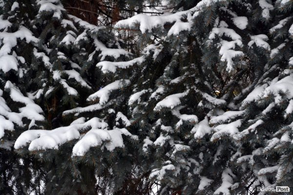 Лютий лютує: фото зими в Луцьку