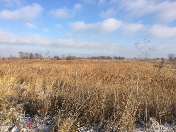 Колишній цукровий завод на Волині перетворюється на звалище