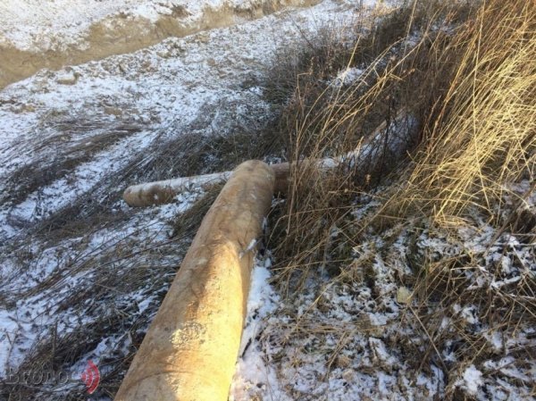 Колишній цукровий завод на Волині перетворюється на звалище